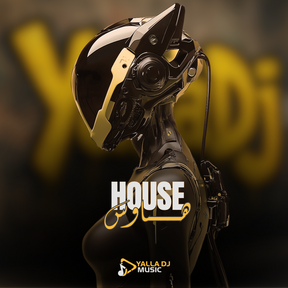 Sample from Yalla DJ | Doctor - Al Shami (Remixed By Dj Joe.S).mp4