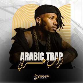 Sample from Yalla DJ | Doctor - Al Shami (Remixed By DJ Ehab).mp4